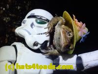 /home//u458753944/public_html/sourcegallery///////////////////////////Roxborough Toad Detour/2021/2021-04-11/P4110242.JPG